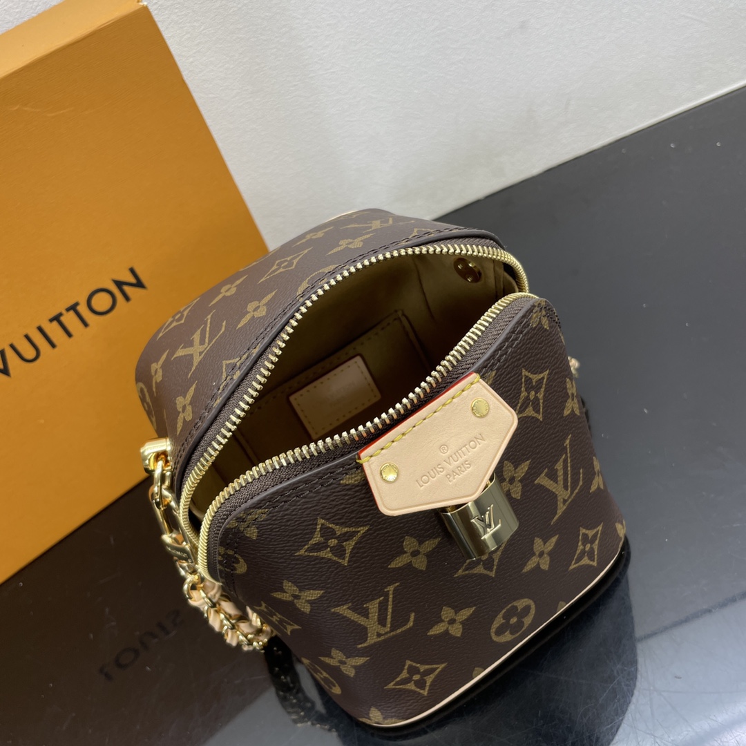 Louis Vuitton Satchel Bags